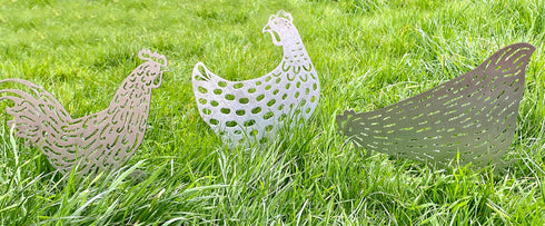 A Trio - 2 Chickens and a Cockerel - Easter